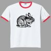 Ultra Cotton ® Ringer T Shirt Thumbnail