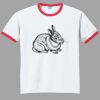 Ultra Cotton ® Ringer T Shirt Thumbnail