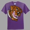 Youth Ultra Cotton ® 100% Cotton T Shirt Thumbnail