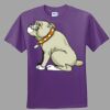 Youth Ultra Cotton ® 100% Cotton T Shirt Thumbnail