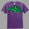 Youth Ultra Cotton ® 100% Cotton T Shirt Thumbnail
