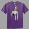 Youth Ultra Cotton ® 100% Cotton T Shirt Thumbnail