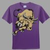 Youth Ultra Cotton ® 100% Cotton T Shirt Thumbnail
