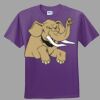 Youth Ultra Cotton ® 100% Cotton T Shirt Thumbnail