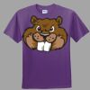 Youth Ultra Cotton ® 100% Cotton T Shirt Thumbnail