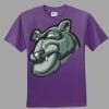Youth Ultra Cotton ® 100% Cotton T Shirt Thumbnail