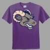Youth Ultra Cotton ® 100% Cotton T Shirt Thumbnail