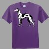 Youth Ultra Cotton ® 100% Cotton T Shirt Thumbnail