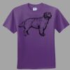 Youth Ultra Cotton ® 100% Cotton T Shirt Thumbnail
