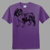 Youth Ultra Cotton ® 100% Cotton T Shirt Thumbnail