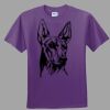 Youth Ultra Cotton ® 100% Cotton T Shirt Thumbnail