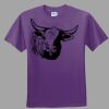 Youth Ultra Cotton ® 100% Cotton T Shirt Thumbnail