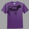 Youth Ultra Cotton ® 100% Cotton T Shirt Thumbnail