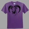 Youth Ultra Cotton ® 100% Cotton T Shirt Thumbnail