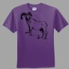 Youth Ultra Cotton ® 100% Cotton T Shirt Thumbnail