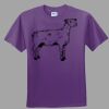 Youth Ultra Cotton ® 100% Cotton T Shirt Thumbnail