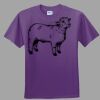 Youth Ultra Cotton ® 100% Cotton T Shirt Thumbnail