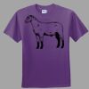Youth Ultra Cotton ® 100% Cotton T Shirt Thumbnail