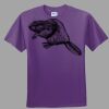 Youth Ultra Cotton ® 100% Cotton T Shirt Thumbnail