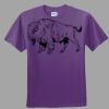 Youth Ultra Cotton ® 100% Cotton T Shirt Thumbnail