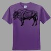Youth Ultra Cotton ® 100% Cotton T Shirt Thumbnail