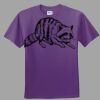 Youth Ultra Cotton ® 100% Cotton T Shirt Thumbnail