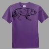 Youth Ultra Cotton ® 100% Cotton T Shirt Thumbnail