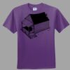 Youth Ultra Cotton ® 100% Cotton T Shirt Thumbnail
