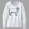 Ultra Cotton ® 100% Cotton Long Sleeve T Shirt Thumbnail