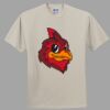 Heavy Cotton 100% Cotton T Shirt Thumbnail