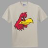 Heavy Cotton 100% Cotton T Shirt Thumbnail