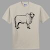 Heavy Cotton 100% Cotton T Shirt Thumbnail