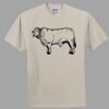 Heavy Cotton 100% Cotton T Shirt Thumbnail