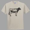 Heavy Cotton 100% Cotton T Shirt Thumbnail