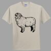 Heavy Cotton 100% Cotton T Shirt Thumbnail