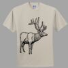 Heavy Cotton 100% Cotton T Shirt Thumbnail