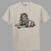 Heavy Cotton 100% Cotton T Shirt Thumbnail