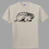 Heavy Cotton 100% Cotton T Shirt Thumbnail
