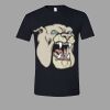 Softstyle™ T Shirt Thumbnail