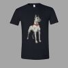 Softstyle™ T Shirt Thumbnail