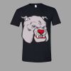 Softstyle™ T Shirt Thumbnail