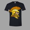 Softstyle™ T Shirt Thumbnail