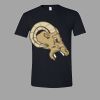 Softstyle™ T Shirt Thumbnail