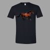 Softstyle™ T Shirt Thumbnail