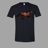 Softstyle™ T Shirt Thumbnail
