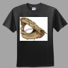 Softstyle™ Junior Fit T Shirt Thumbnail