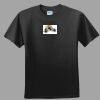 Softstyle™ Junior Fit T Shirt Thumbnail