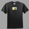 Softstyle™ Junior Fit T Shirt Thumbnail