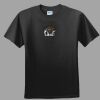 Softstyle™ Junior Fit T Shirt Thumbnail