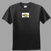 Softstyle™ Junior Fit T Shirt Thumbnail
